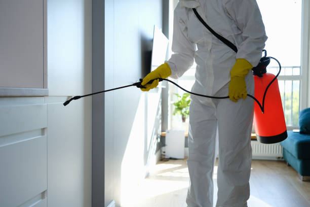 Best Industrial Mold Remediation in Kenmar, PA