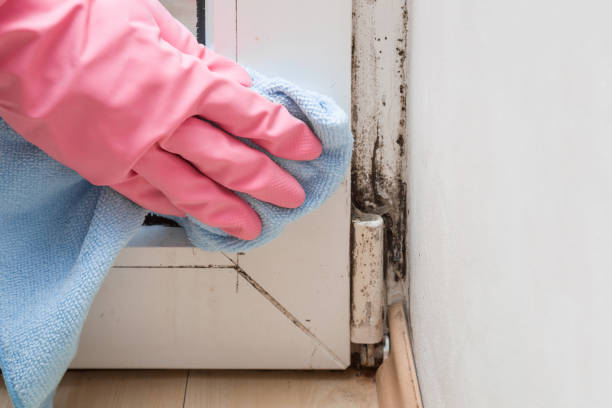 Best Mold Remediation for Specific Building Types in Kenmar, PA